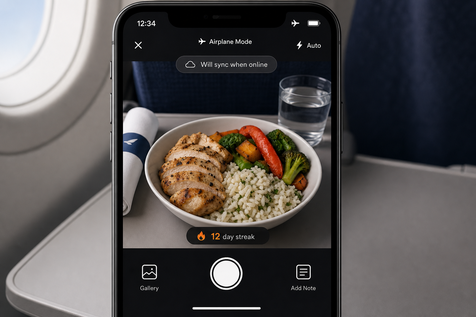 Offline meal logging in airplane mode